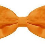 ΑΠΟΚΡΙΑΤΙΚΟ ΠΑΠΙΓΙΟΝ