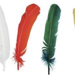 Αποκριάτικα Φτερά Ινδιάνου