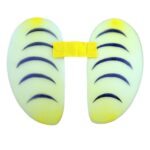 Φτερά Μελισσούλας