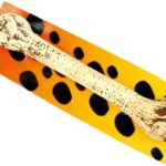 Κόκκαλο μεγάλο realistic