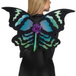 Φτερά Πεταλούδας Πολύχρωμα