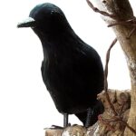 Κοράκι Διακοσμητικό 22 εκ.