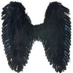 Μαύρα Φτερά Με Πούπουλα 70X65εκ.