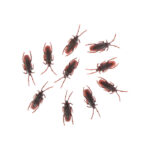 Ψεύτικες Κατσαρίδες 10 Τεμαχίων 7 εκ.