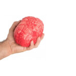 Ψεύτικο Μυαλό Με Αίματα