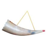 Κόρνα -Τρομπέτα