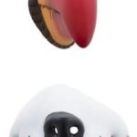 Μύτη Ζώου Σε Διάφορα Σχέδια