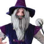 Περούκα Και Γενειάδα Μάγου Γκρι