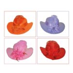 Καπελίνα Με Διακοσμητικό Λουλούδι & Φτερό Σε Διάφορα Χρώματα