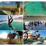 PULUZ 45 in 1 Accessories Ultimate Combo Kits (Chest Strap + Suction Cup Mount + 3-Way Pivot Arms + J-Hook Buckle + Wrist Strap + Helmet Strap + Surface Mounts + Tripod Adapter + Storage Bag + Handlebar Mount + Wrench) for GoPro, Insta360, DJI and Other Action Cameras - Image 12