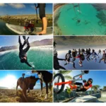 PULUZ Waterproof Carrying and Travel Case for for GoPro, Insta360, DJI and Other Action Cameras Accessories, Medium Size: 23cm x 17cm x 7cm - Image 11