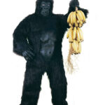 Στολή Μασκότ Γορίλας