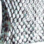 Αποκριάτικο Δίχτυ Στρατιωτική Παραλλαγή Καμουφλάζ