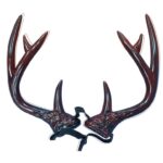 Κέρατα Ελαφιού